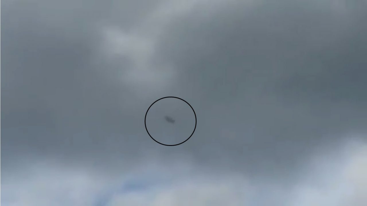 UN “UFO” SULLE ALTURE DI DOLCEACQUA…OPPURE UN PICCOLO FALCO? IL VIDEO DI MASSIMO MANDINGO