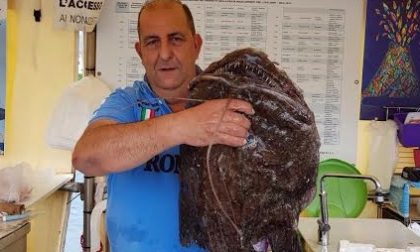 UNA RANA PESCATRICE DI 12 KG PRESA QUESTA MATTINA DAL SIGNOR GIGI