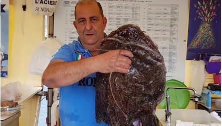 UNA RANA PESCATRICE DI 12 KG PRESA QUESTA MATTINA DAL SIGNOR GIGI