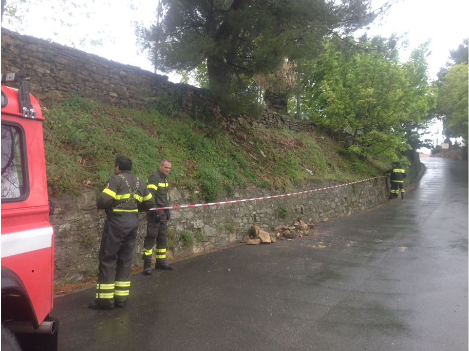 MALTEMPO. Un pino a rischio di crollo a Seborga, la Protezione civile denuncia: “Detto all’Ufficio Tecnico, ma non è intervenuto”