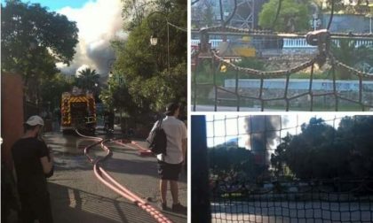 DALLA COSTA AZZURRA: VASTO INCENDIO NEL PARCO GIOCHI "KOALAND" DI MENTONE