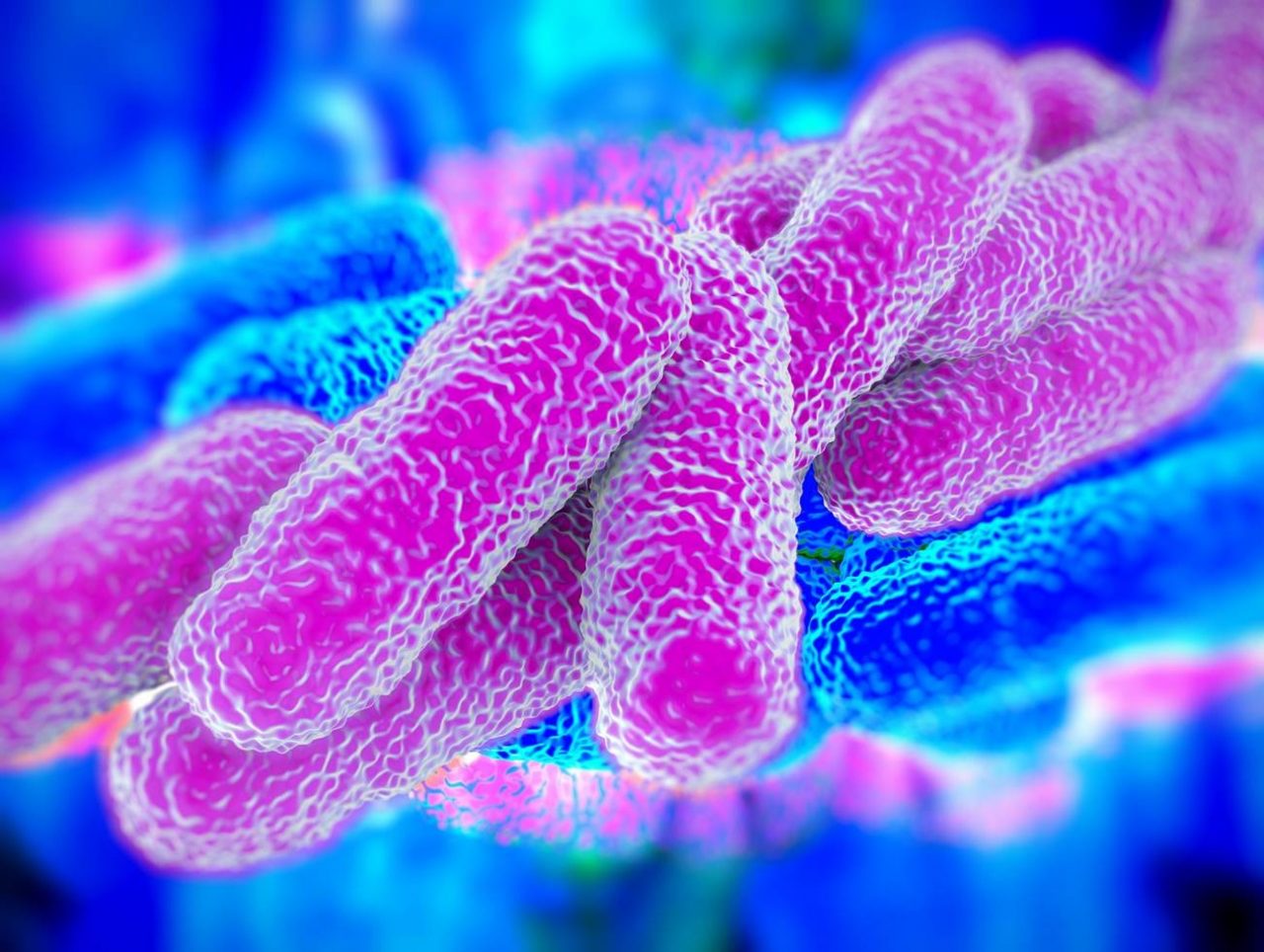 Individuato batterio della legionella in una rsa, sgomberati 8 degenti