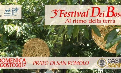 Il "Festival dei boschi"  animerà San Romolo il 6 agosto