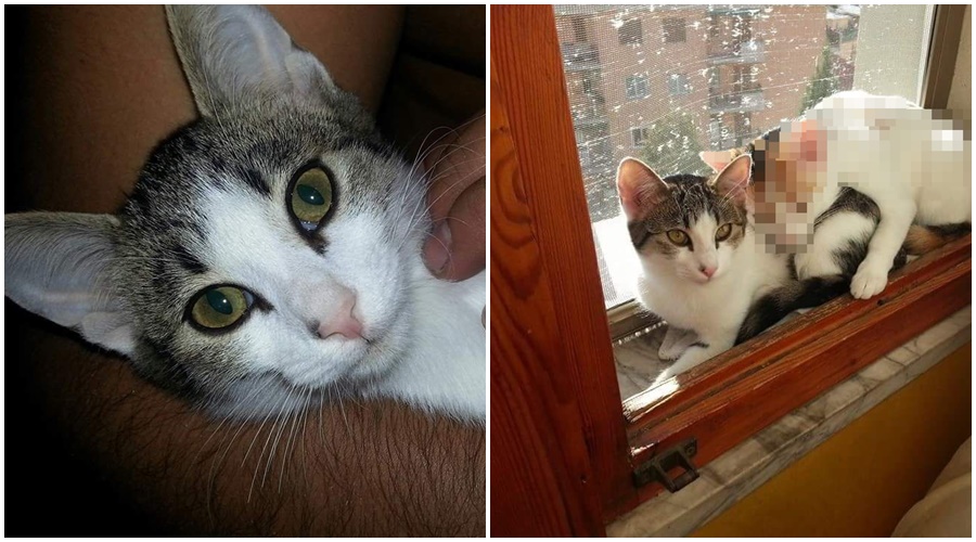 Sparita Grace in zona campo golf. Chi l’ha vista?