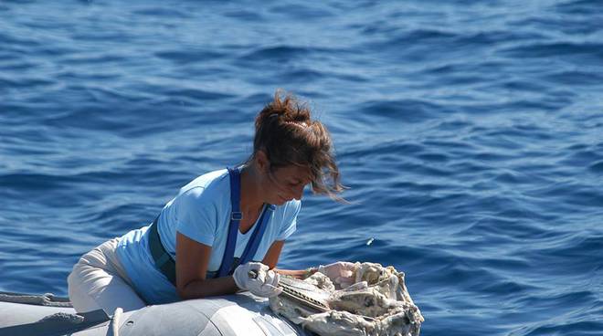 Balene e delfini del mar ligure, Sabina Airoli lunedì 7 agosto a Bordighera
