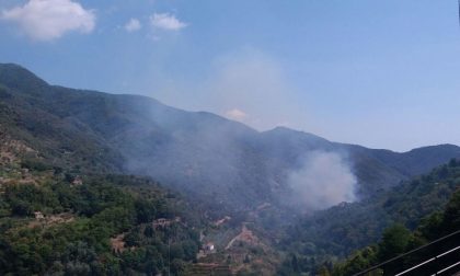 Principio di incendio alle spalle di Sanremo.  Intervento dei vigili del fuoco in atto