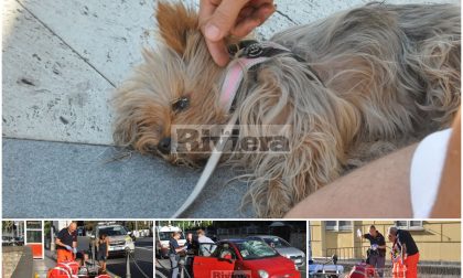 Schianto a Sanremo: gravissimi donna e cagnolina falciati da un'auto/ Foto e video