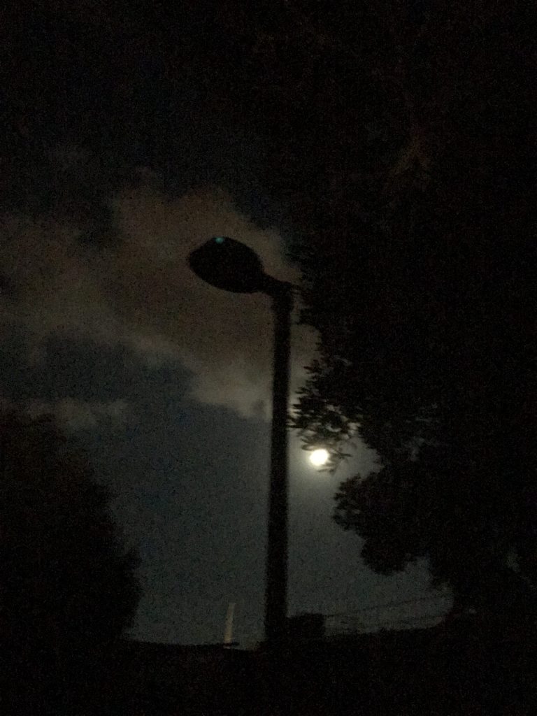 Pista ciclabile al buio: l’indignazione del Movimento 5Stelle