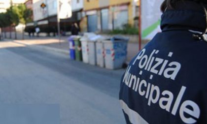 Blitz della municipale nella Pigna: sequestrati oltre 300 articoli contraffatti