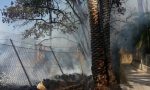 Incendio nel terreno accanto ai Giardini Winter di Bordighera, a rischio il palmeto