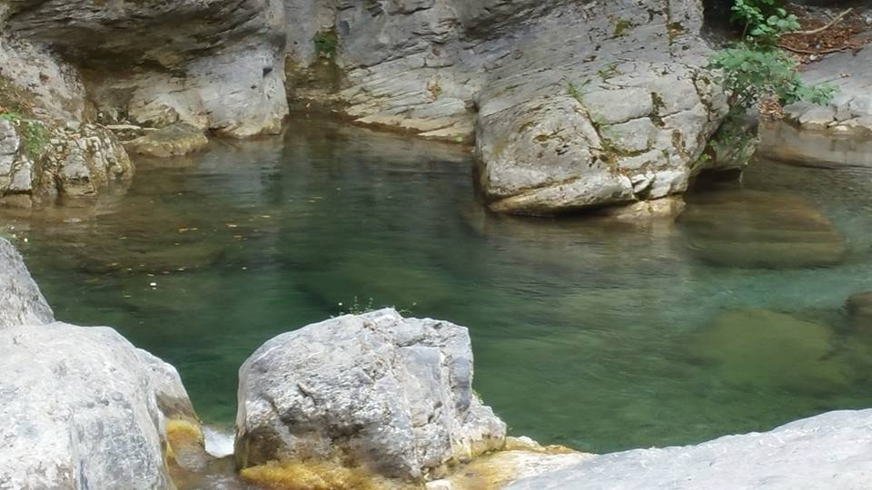 Rio Carne: una battaglia per difendere un angolo di paradiso