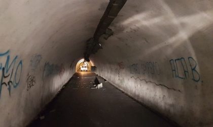 Imbocca il tunnel da via Francia e si incastra col camion nei fari dell'illuminazione