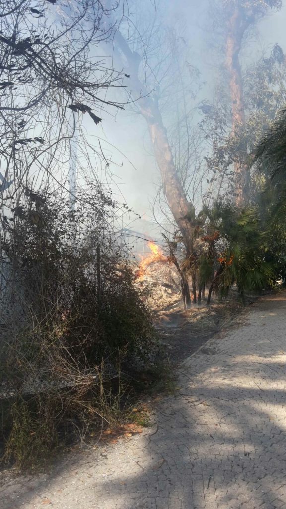 Incendio vicino giardini Winter Bordighera