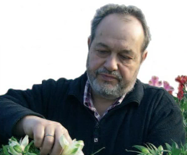 Floricoltore morì dopo “appendicectomia”: assolti 4 medici dell’Asl 1 dall’accusa di omicidio colposo