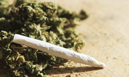 Boom di marijuana tra i giovani: +20%