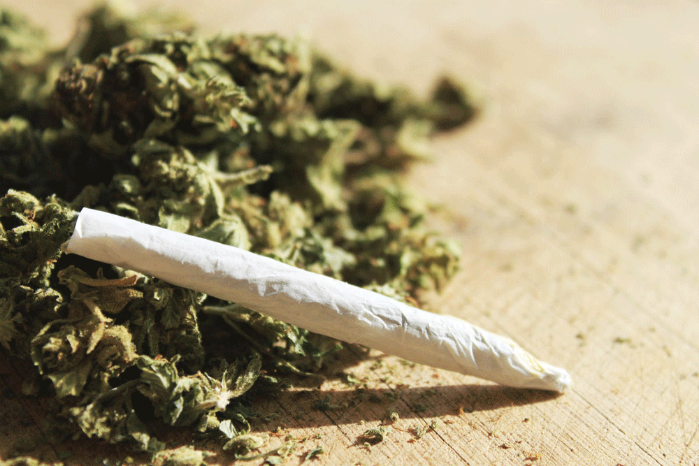 Cannabusiness: sempre di più i growshop in Liguria