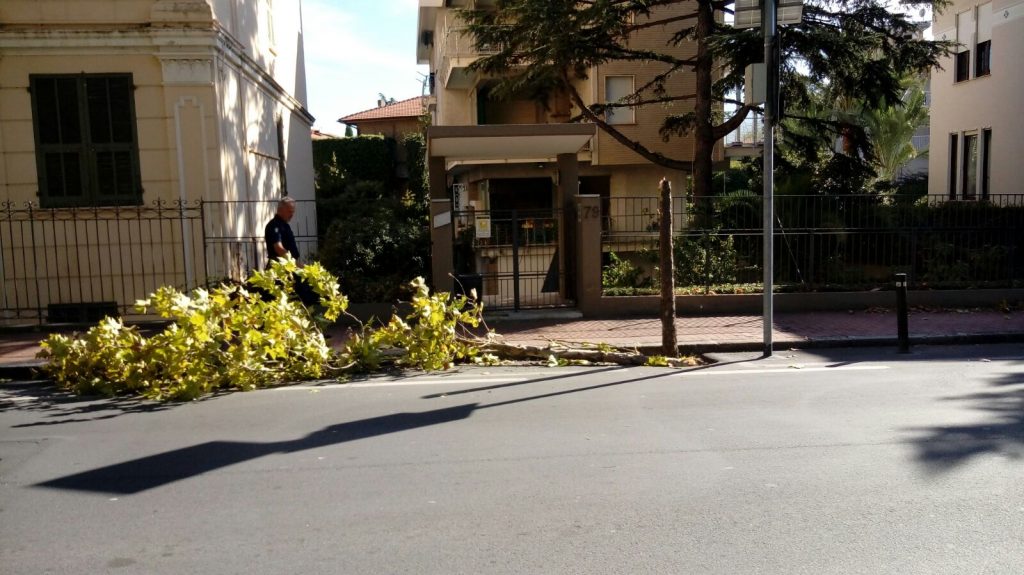 Forte vento in Riviera: molti interventi dei vigili del fuoco, persiane pericolanti e alberi caduti
