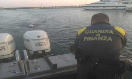 Trovano delfino morto in mare, lo recupera la Guardia di Finanza