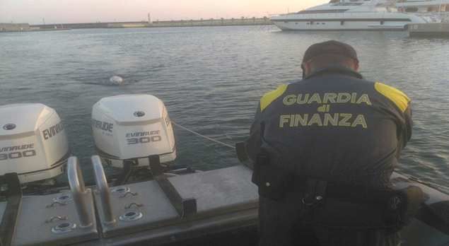 Trovano delfino morto in mare, lo recupera la Guardia di Finanza