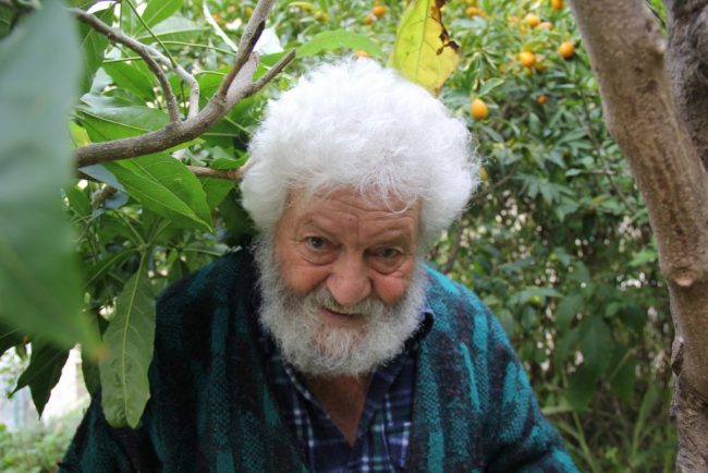 Centenario della nascita di Libereso Guglielmi: sabato la giornata conclusiva delle celebrazioni