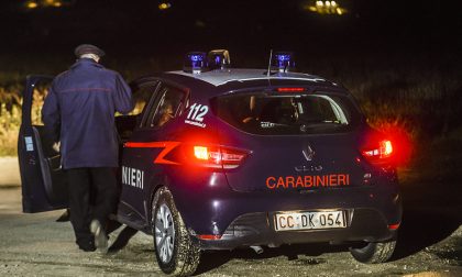 Nascosti dai Carabinieri tra i cespugli: ladri maldestri traditi dai latrati dei propri cani