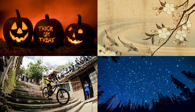 Feste di Halloween e non solo: tutti gli eventi del fine settimana