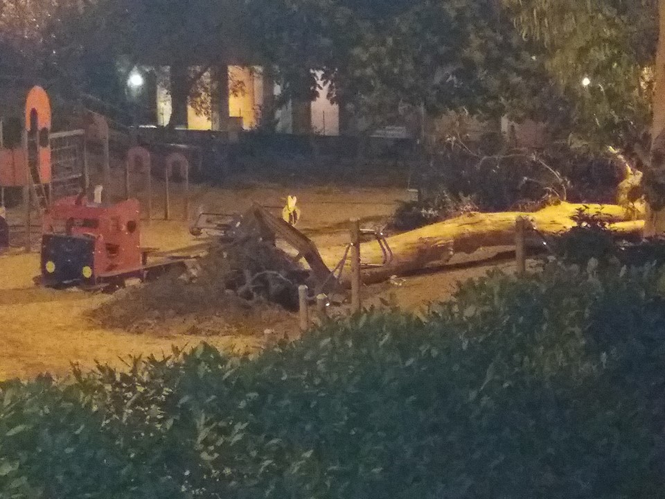 Vento forte, crolla un albero sul parco giochi
