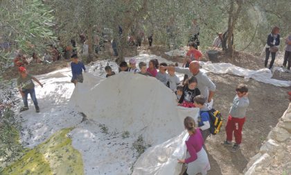 Presentata a Roma la seconda edizione della Camminata tra gli olivi. I comuni coinvolti