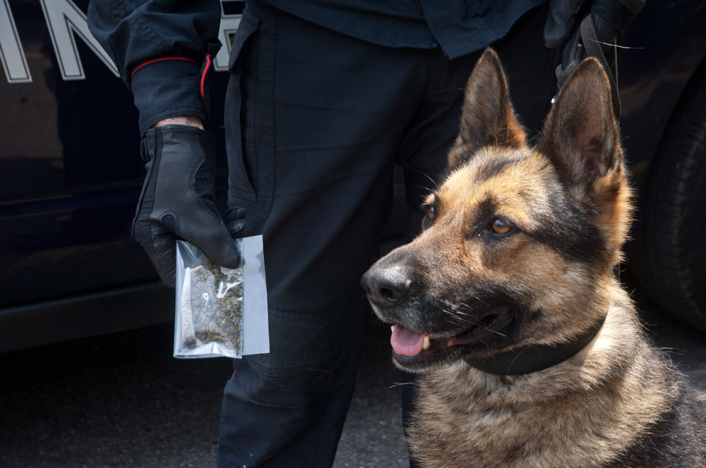 Cani antidroga alla Scuola Edile e all’Agraria Ruffini-Aicardi di Sanremo