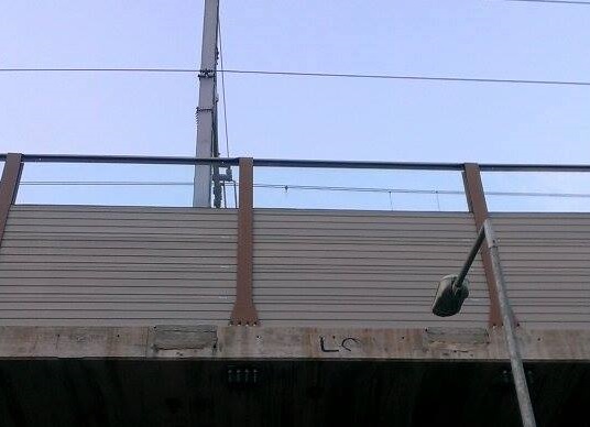 Strage di uccelli contro la vetrata della ferrovia a Imperia