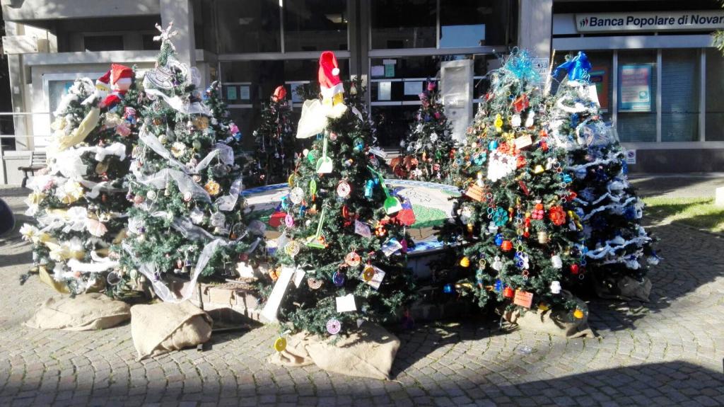 Vota l’Albero che ti piace di più: l’iniziativa per i bambini del Golfo Dianese