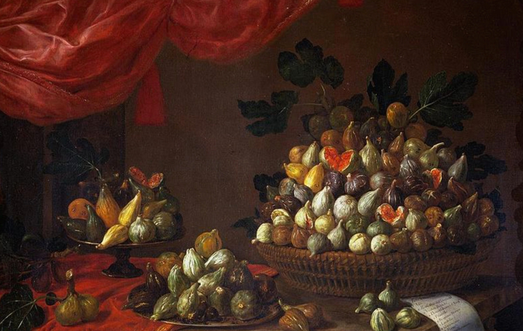 La storia dei fichi al Museo Bicknell di Bordighera