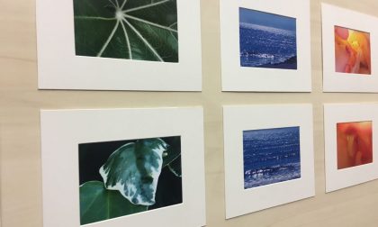 Pazienti psichiatrici diventano fotografi: inaugurata la mostra "Sguardi"