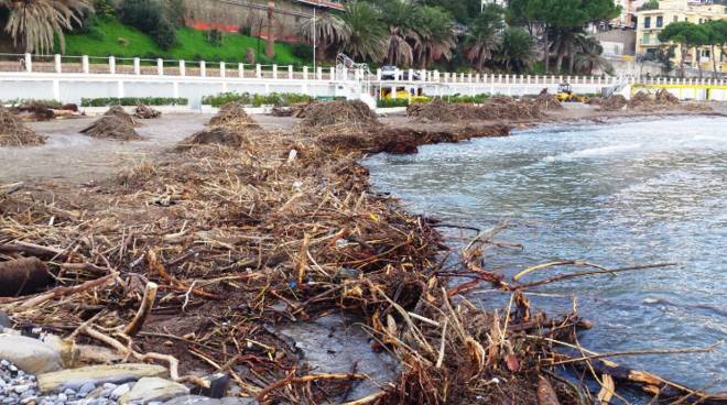 Ventimiglia: Comune autorizza prelievo materiale ligneo dalla spiaggia