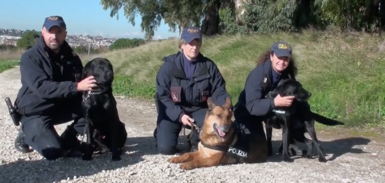 I consigli della Polizia di Stato per proteggere gli animali durante il Capodanno