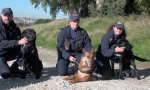 I consigli della Polizia di Stato per proteggere gli animali durante il Capodanno