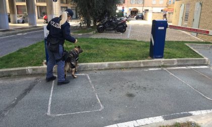 Controlli straordinari a Imperia: 2 arresti e altrettante espulsioni della polizia