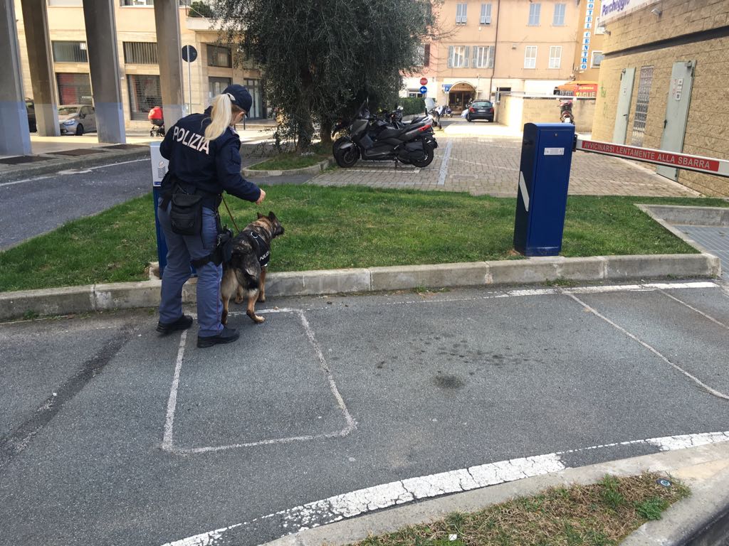 Cane antidroga Polizia Imperia1