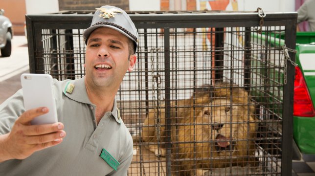 L’anno nero del cinema italiano