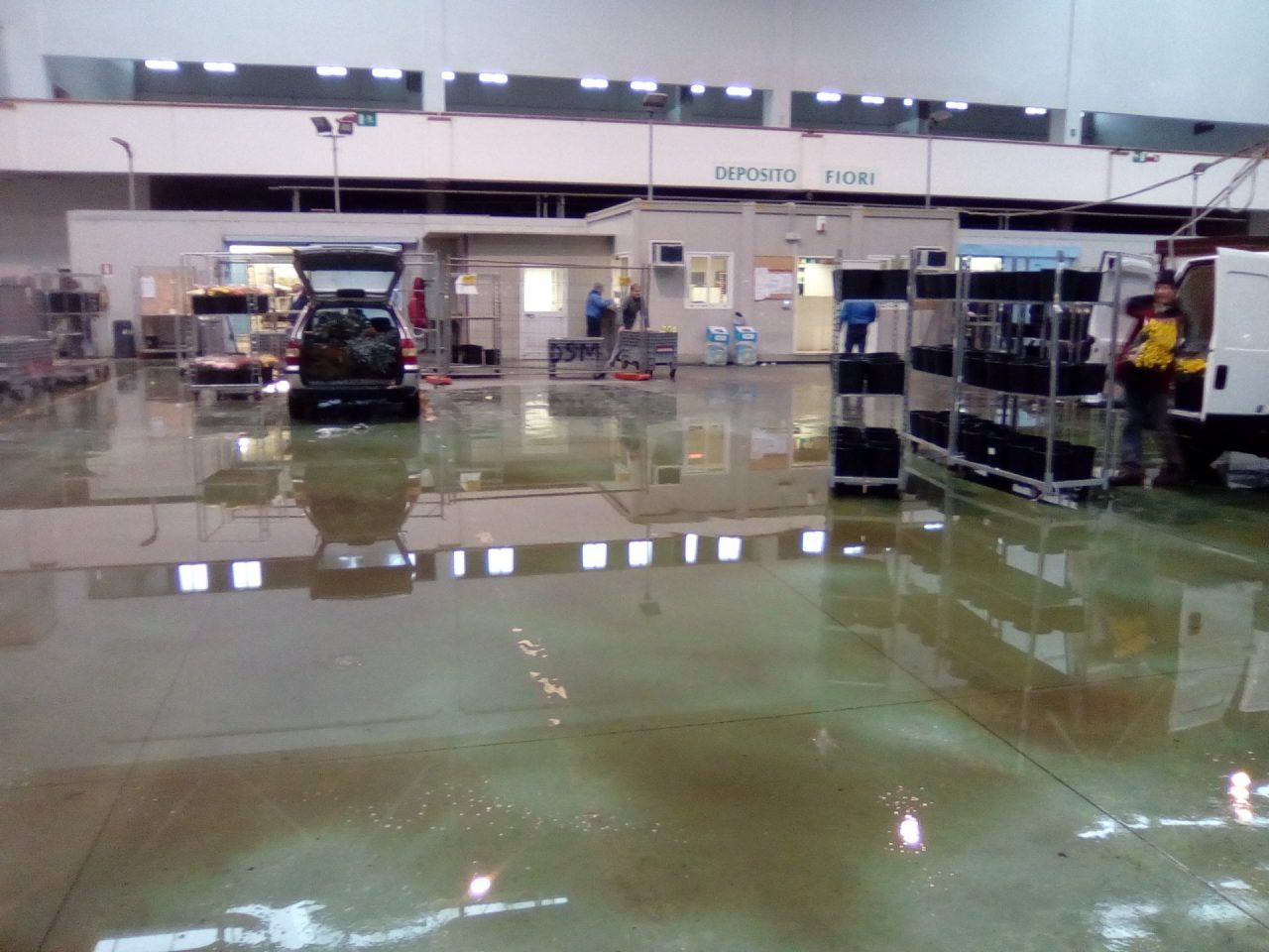 Mercato dei Fiori: grido disperato dei floricoltori “Ecco come dobbiamo lavorare” (foto)