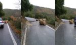 Frana su strada Monte Ortigara, Municipale e Vigili del Fuoco sul posto