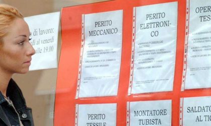 Le nuove offerte di lavoro da Cervo a Montecarlo: ecco chi cerca personale