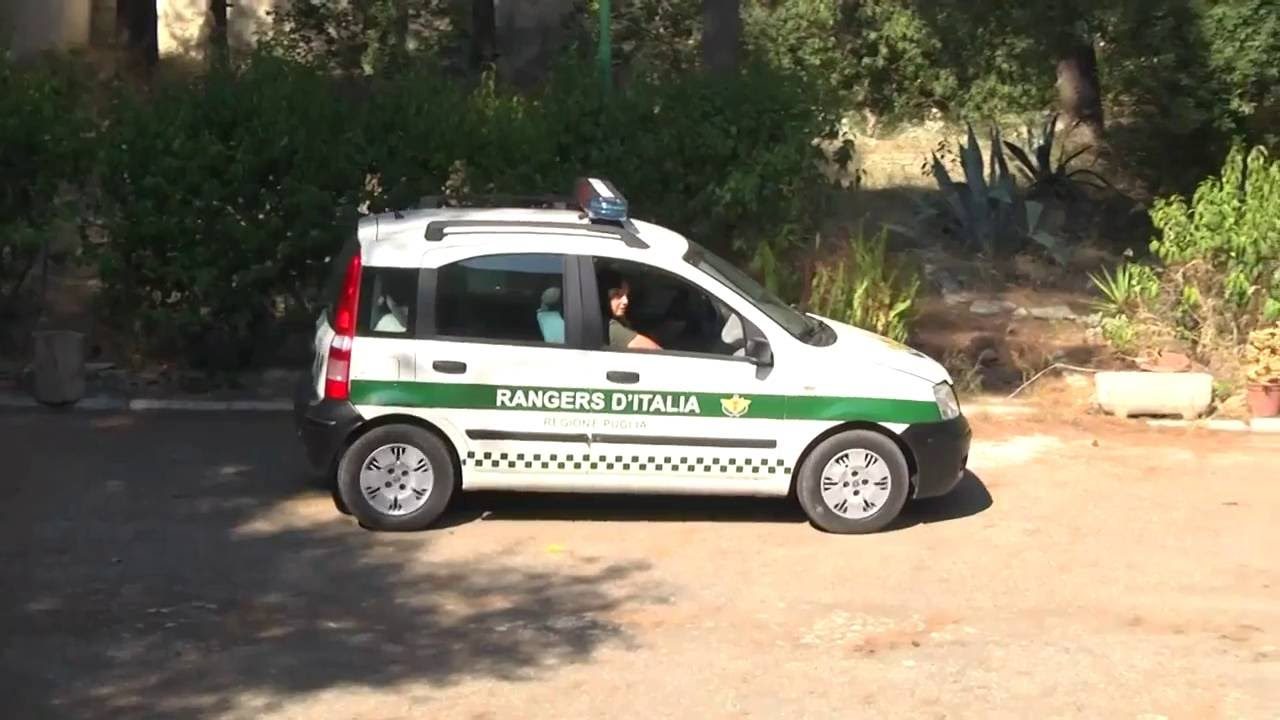 I Ranger’s d’Italia aprono le porte a nuovi iscritti