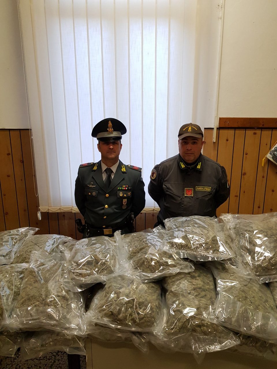 Cani antidroga Cally e Taca fiutano 42 kg di marijuana alla frontiera. Nei guai due corrieri