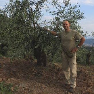 Il Premio Sol d’Oro all’olio di Isolabona
