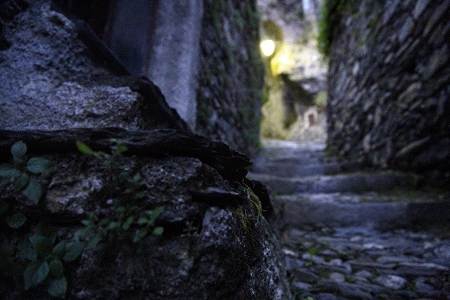 Spettacolare escursione in una Mendatica al chiaro di luna