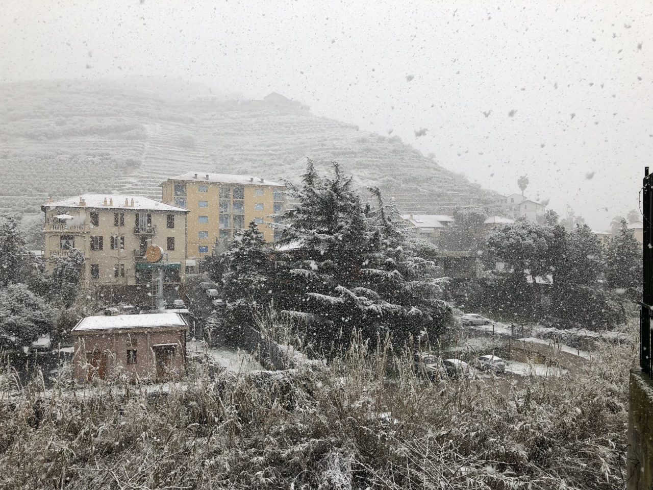 Il Ponente ligure imbiancato: Latte ricoperta dalla neve
