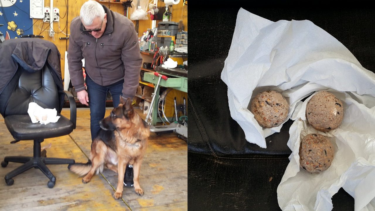 Attenzione con i cani: polpette avvelenate sulla pista ciclabile