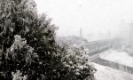 Il video di Eugenio Conte della nevicata a Vallecrosia