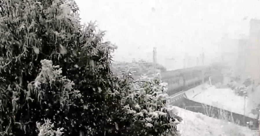 Il video di Eugenio Conte della nevicata a Vallecrosia